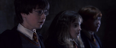 Harry Potter and the Sorcerer's Stone| 哈利波特与魔法石（2001）