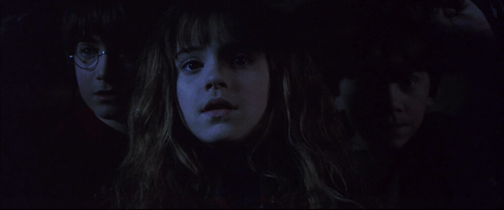Harry Potter and the Sorcerer's Stone| 哈利波特与魔法石（2001）
