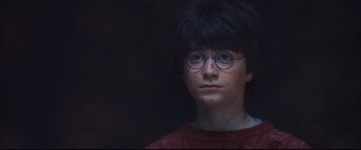 Harry Potter and the Sorcerer's Stone| 哈利波特与魔法石（2001）