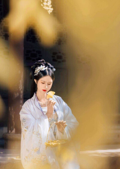 汉服安利宋