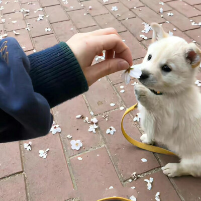 优质头像 女生头像 微信头像