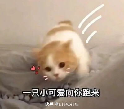 小描