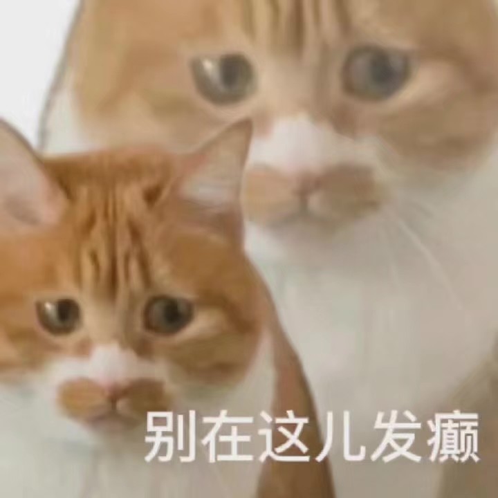 猫猫头