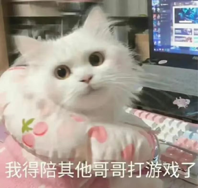 猫猫头