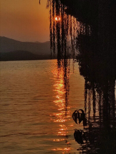 总要看一场完整的西湖日落吧
摄影：@酒色温柔 ​