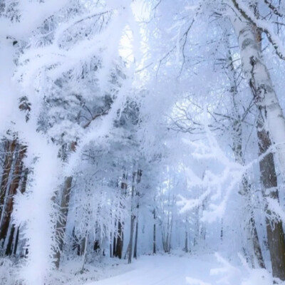 看简介。
cr.zoe小涵