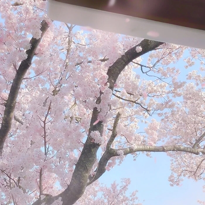 可二改。看简介。
cr.zoe小涵