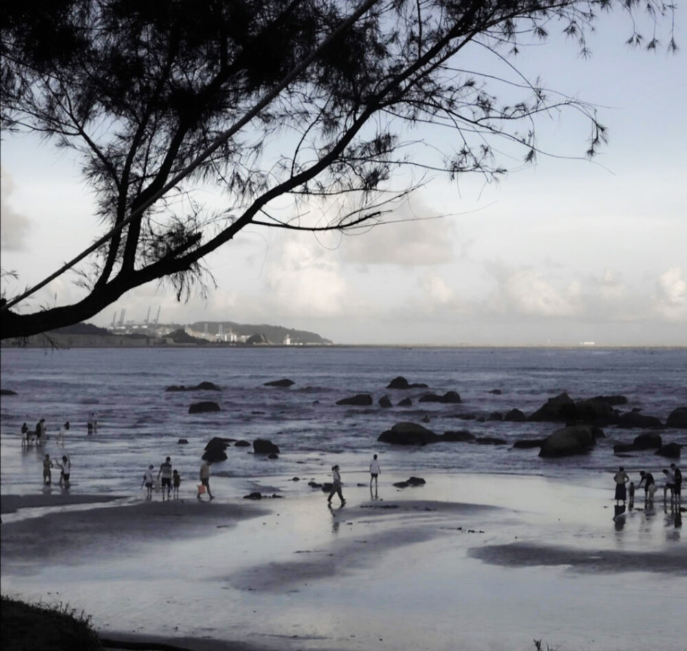 《旧雨重落》:"知许解夏,长长久久"-夏知许 许其琛