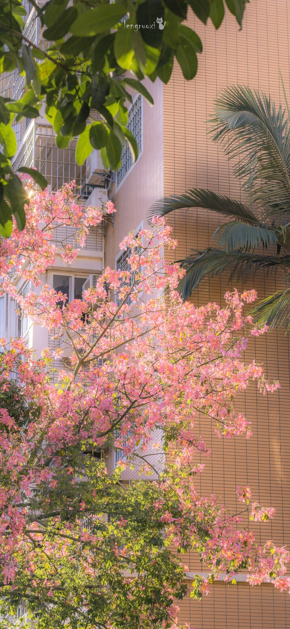 10月31日壁纸