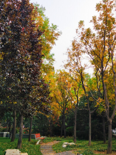 非常喜欢这条视频，体会出作者的真实和细腻。
人从生下来，就向死亡迈步；按此理，人生确实没有多少意义。然而每个人在这段行程中，都会有自己迈步的姿态给这段行程赋予意义（难怪作者起名步姿）。人生中无论是to lo…