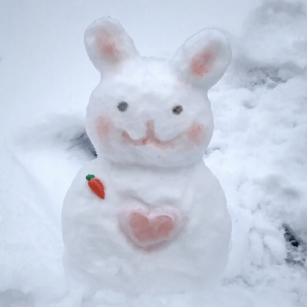 雪地里相爱