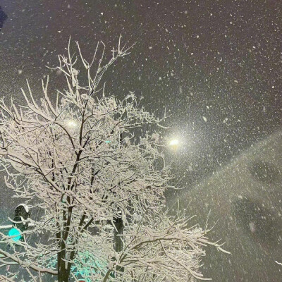 雪地里相爱