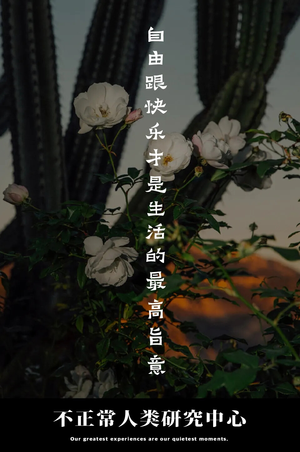 明智的放弃胜过盲目的执着