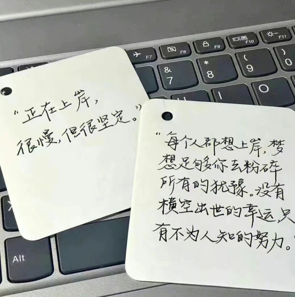 图源ks池魚循环
10.29