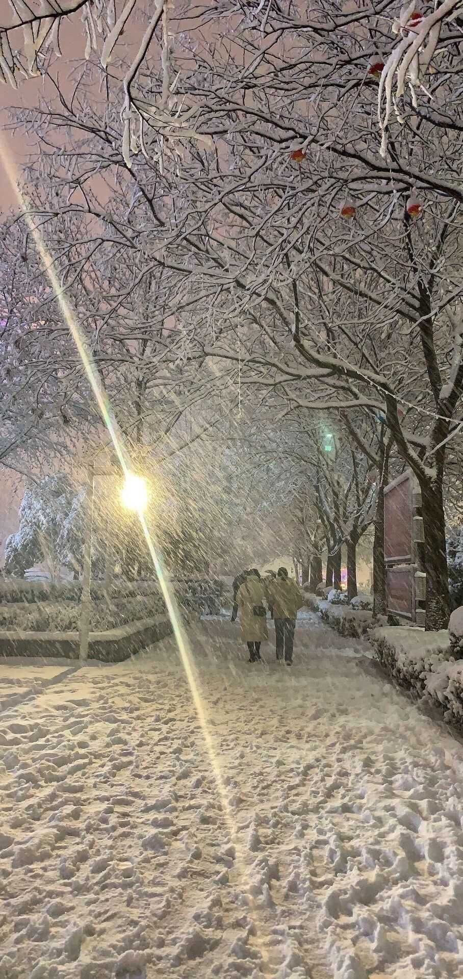 风格壁纸