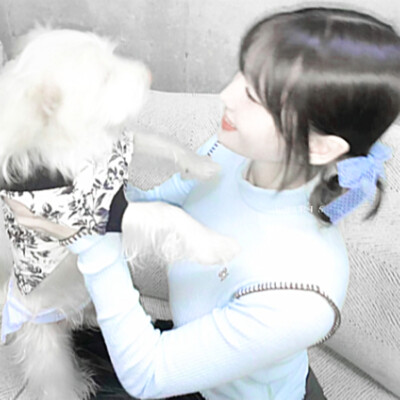 モモが抱いた犬は私です
momo平井桃