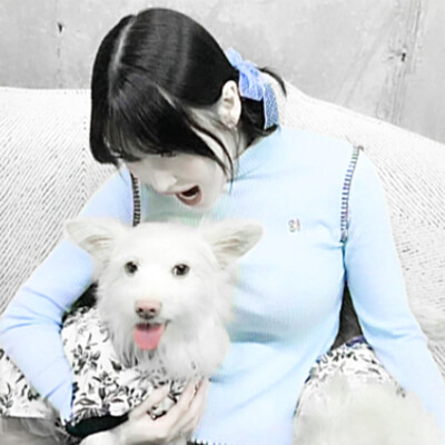 モモが抱いた犬は私です
momo平井桃