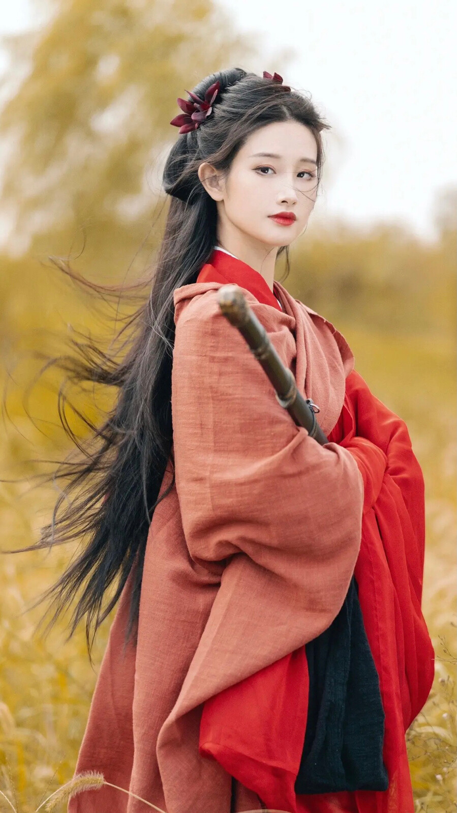 许我耀眼电视剧免费观看全集