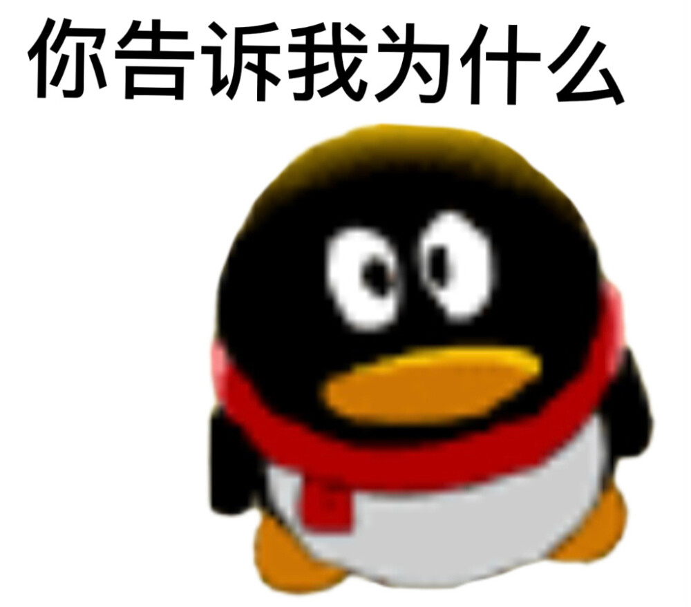 vb追大鹅