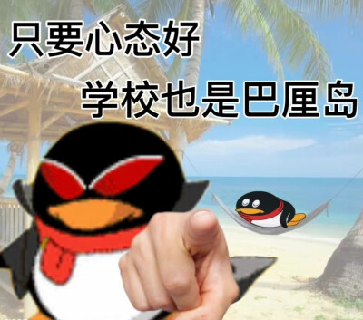 vb追大鹅