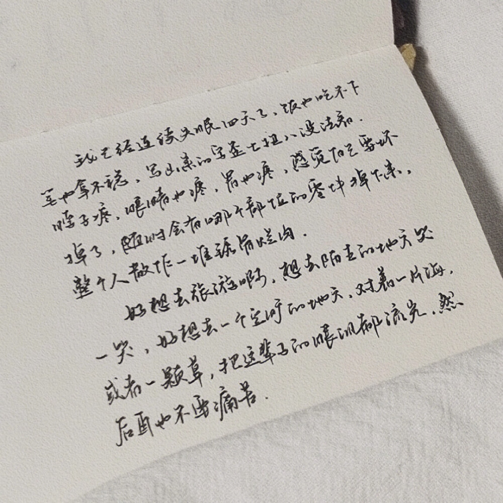 “雪太干净，别让我葬在雪里”
手写文案｜背景图｜文字
手写博主: 【小轻舟】