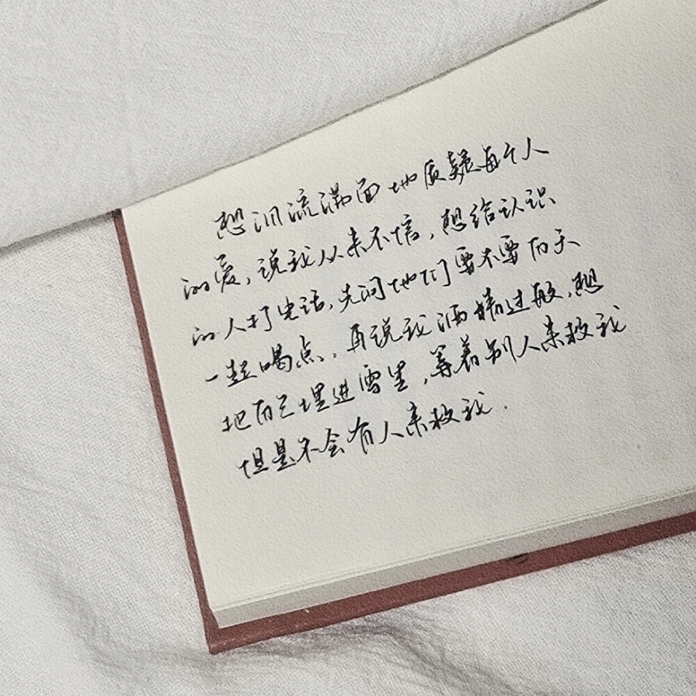 “雪太干净，别让我葬在雪里”
手写文案｜背景图｜文字
手写博主: 【小轻舟】