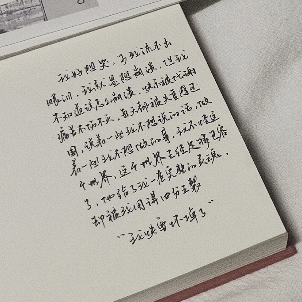 “雪太干净，别让我葬在雪里”
手写文案｜背景图｜文字
手写博主: 【小轻舟】