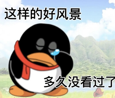 实用qq企鹅表情包