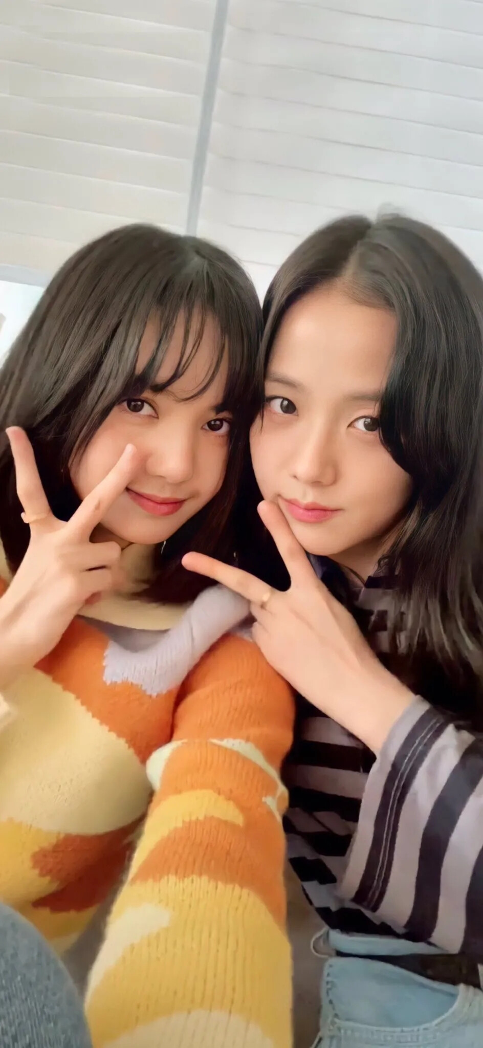 lisa壁纸荔枝cp