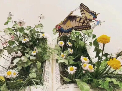 书中生花