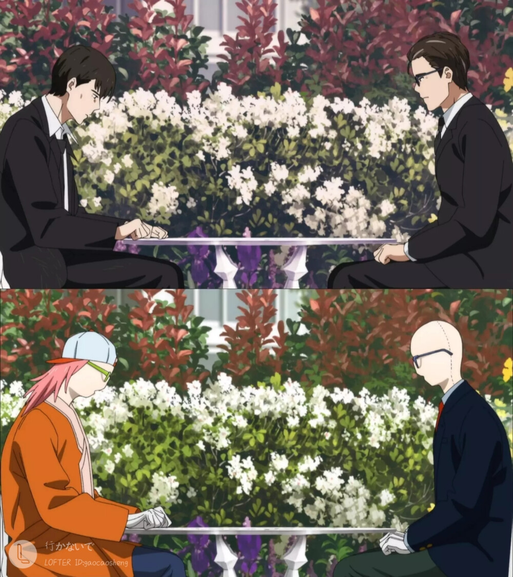 奇蛋物语表里账