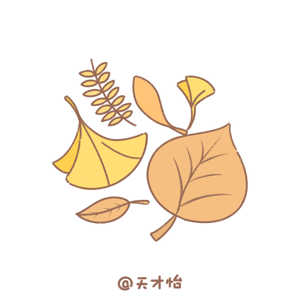 原创｜秋天八件套都给你们安排上了哈
听说这是入秋八件套
奶茶 落叶 板栗 烤红薯 橘子 冰糖葫芦 火锅 鲜花
-
一起有仪式感的过秋天吧