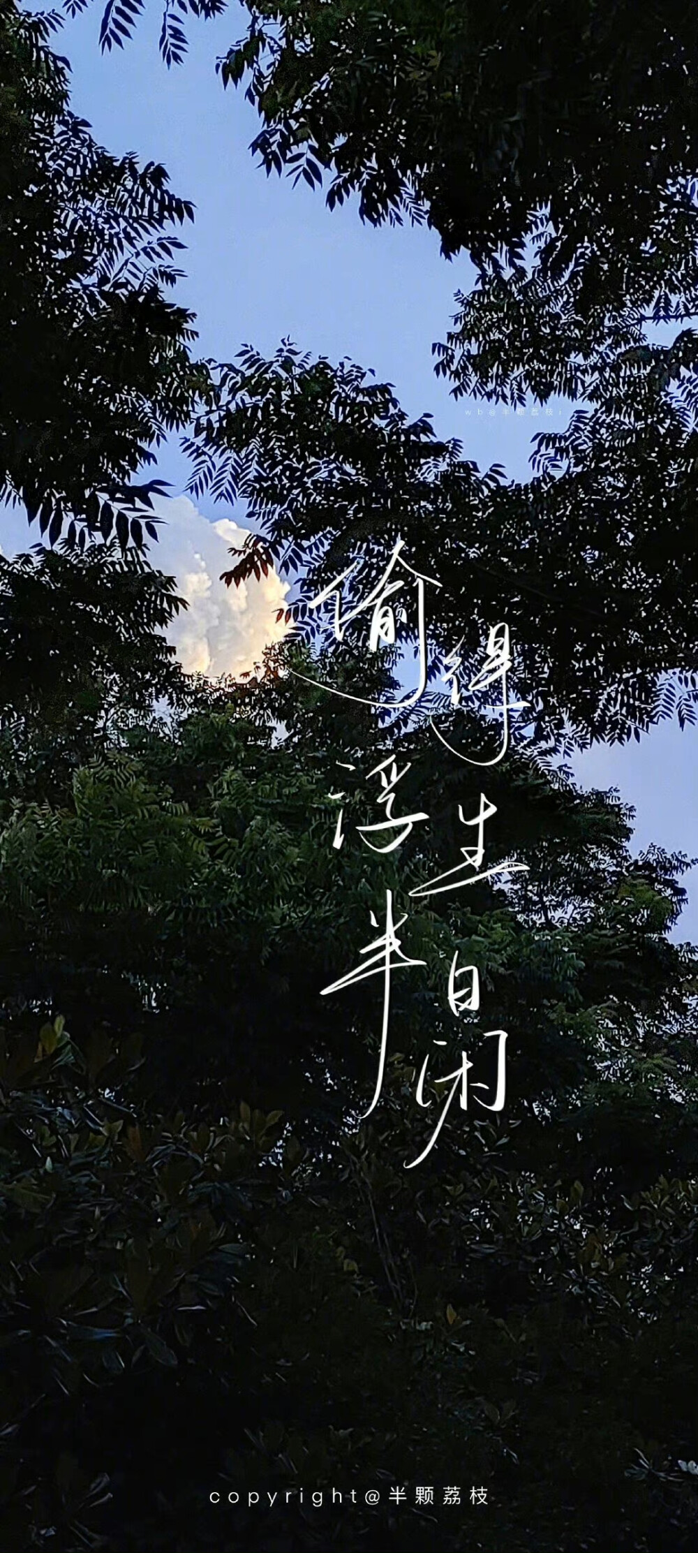 文字壁纸
