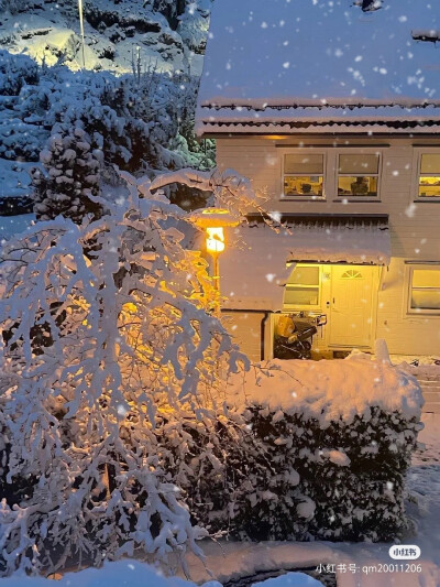 雪