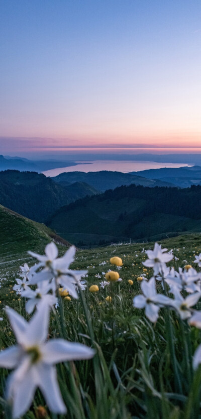 山山而川