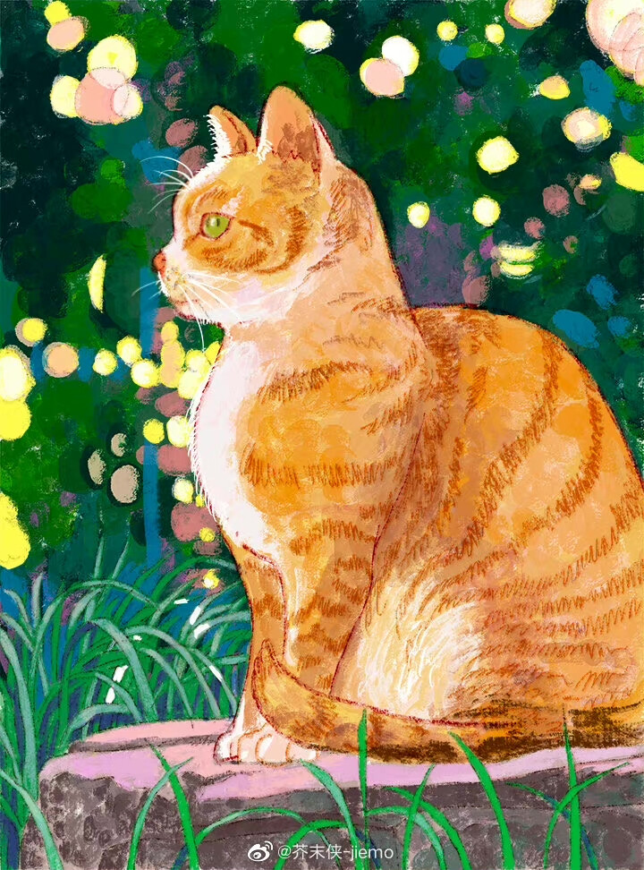 猫咪