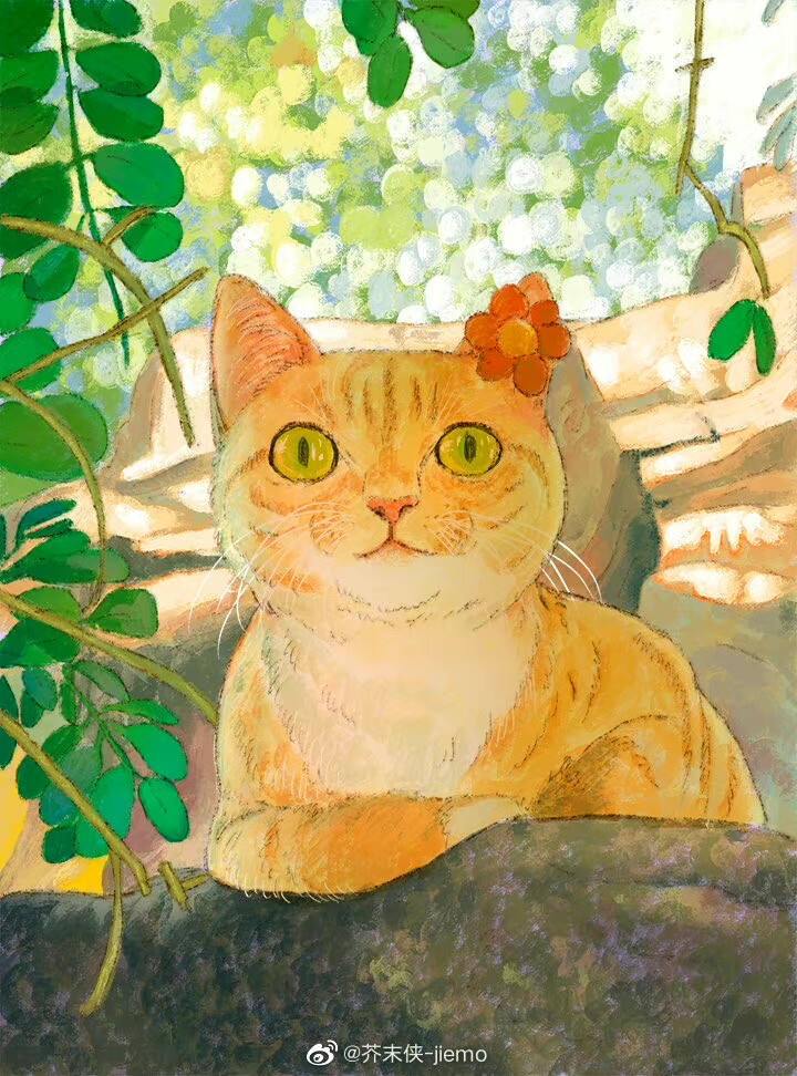 猫咪