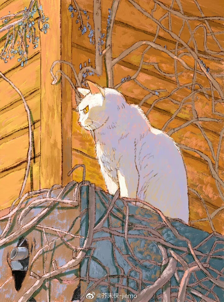 猫咪