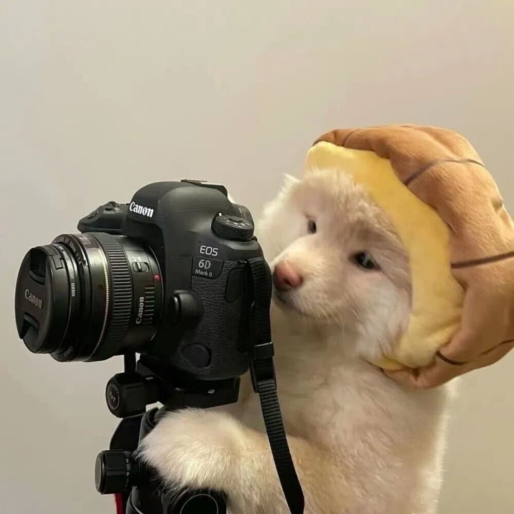 cute