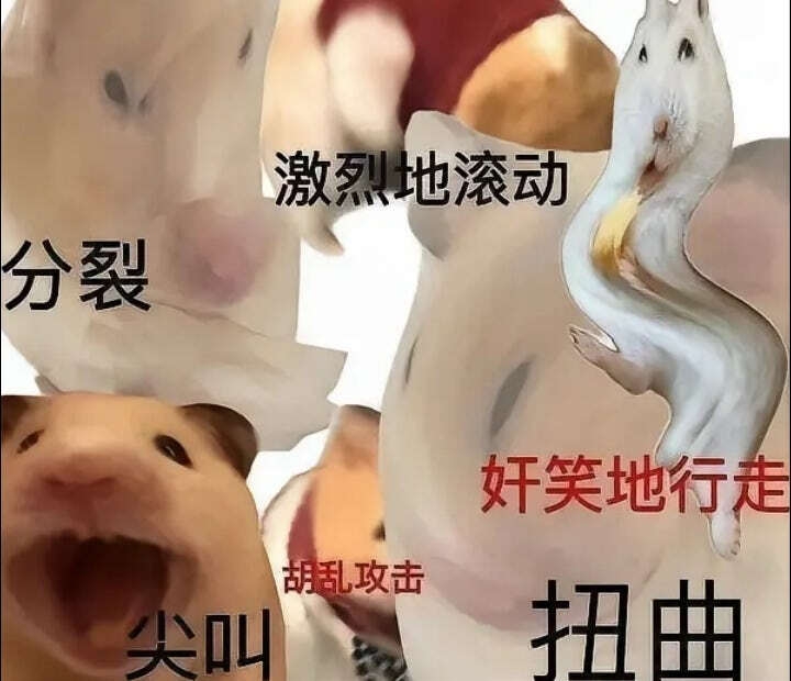 精神状态