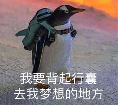 es表情包