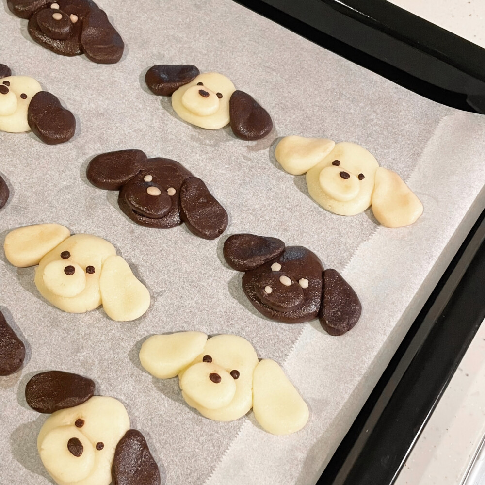 ૮꒰ ˶• ༝ •˶꒱ა请你参与我的冬天