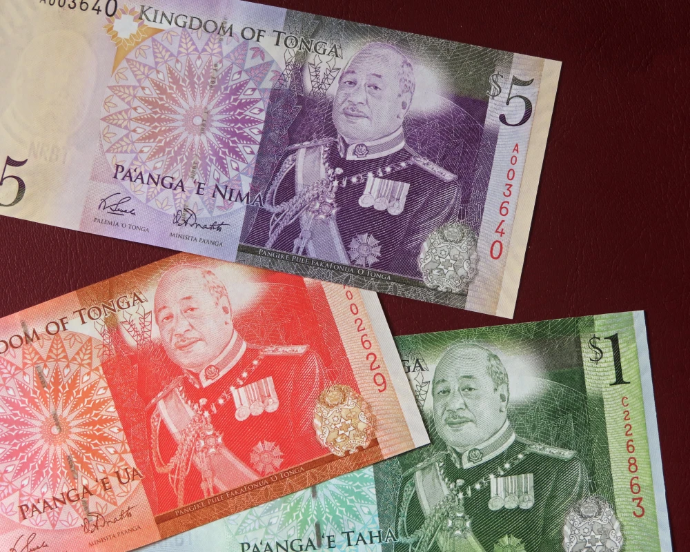 汤加纸币
