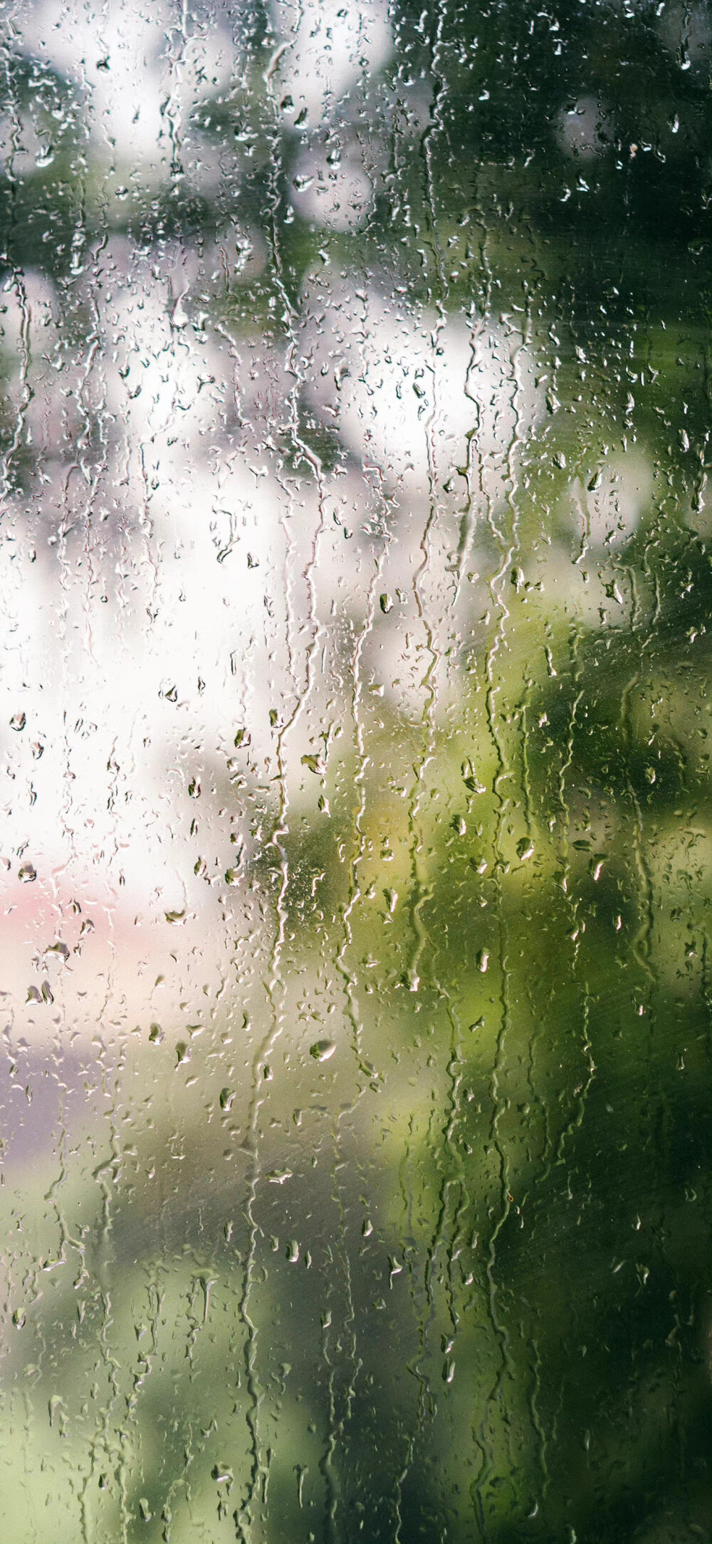 雨 玻璃 壁纸