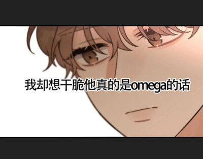 韩漫Omega情结/命定的欧米伽/Omega Complex