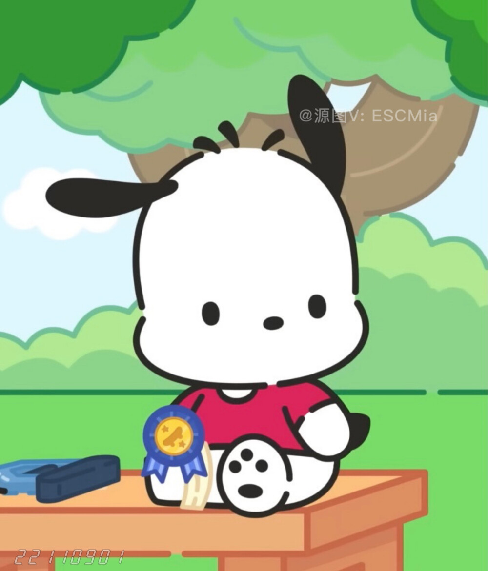 share|帕恰狗可爱头像 - 说星星好看的人一定没见过你的眼睛