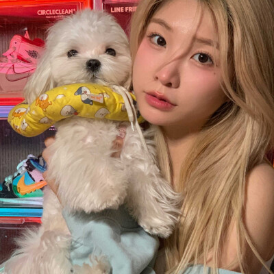 女头可二改‖标池酒酒