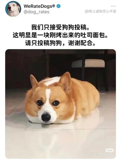 哈哈