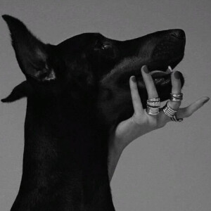 ₊⁺✞ 暗 & 黑 ✟⁺₊