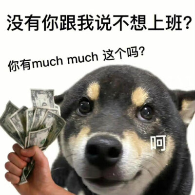 表情包